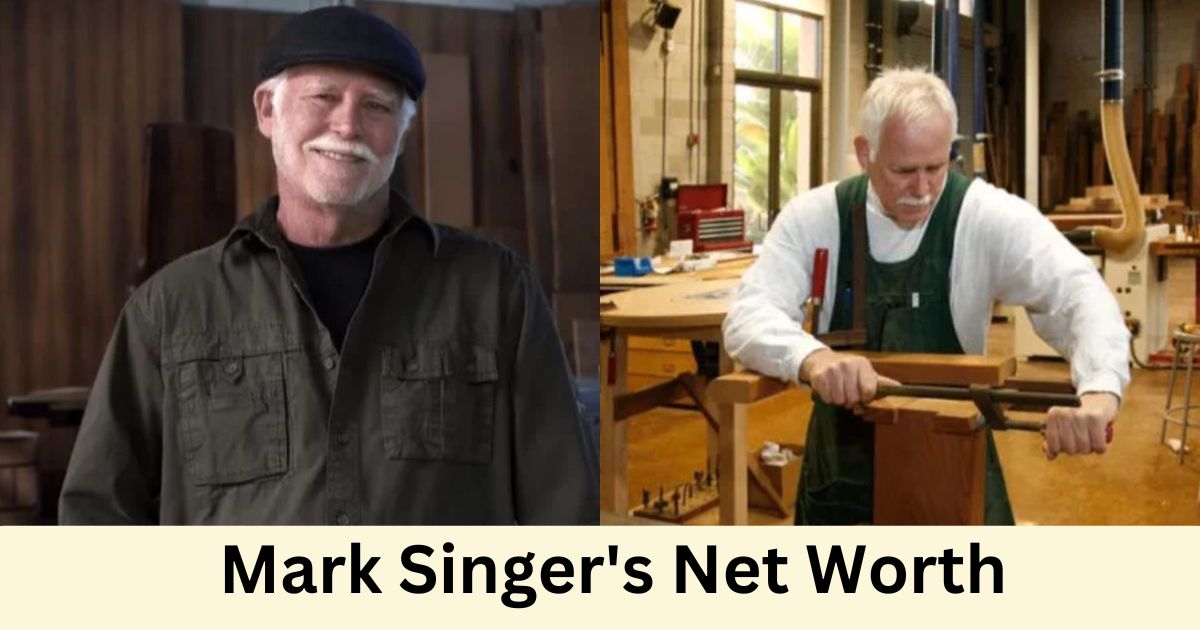 Visual representation of Mark Singer's net worth, showcasing his financial accomplishments and overall wealth.